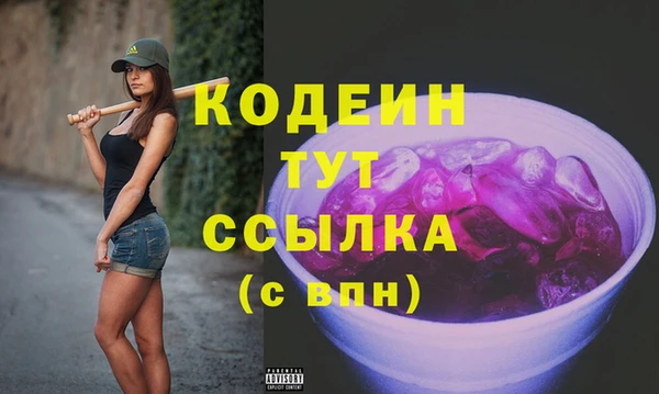 прущий лед Нея
