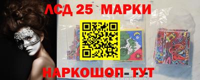 a pvp Камышлов