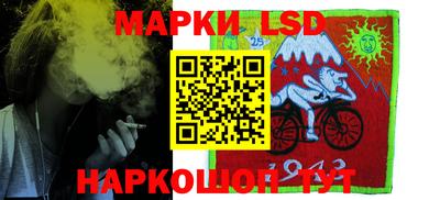 a pvp Камышлов