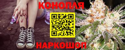 a pvp Камышлов