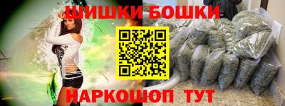 a pvp Камышлов