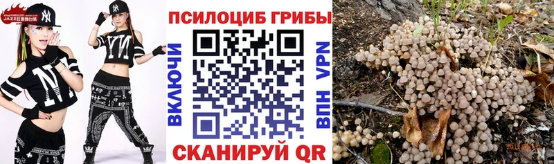 Псилоцибиновые грибы MAGIC MUSHROOMS  купить  цена  Муром 